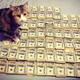 Illustration for article titled How to Make $7500 a Week by Working at Home with Google
